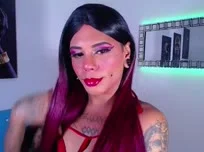 Una rápida introducción