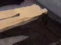 Las bragas siempre se ven bien