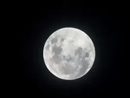 Foto de la cámara web 1
