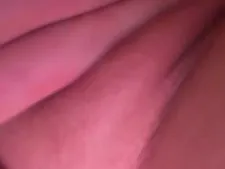 Pinkpearl 14