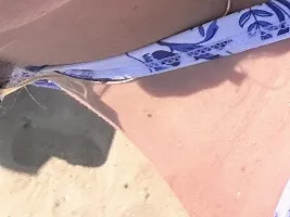 Foto de la cámara web 4