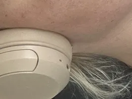 Foto de la cámara web 2