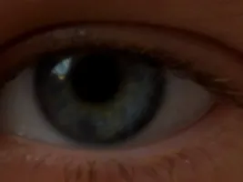 Foto de la cámara web 4