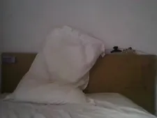 Tit 183